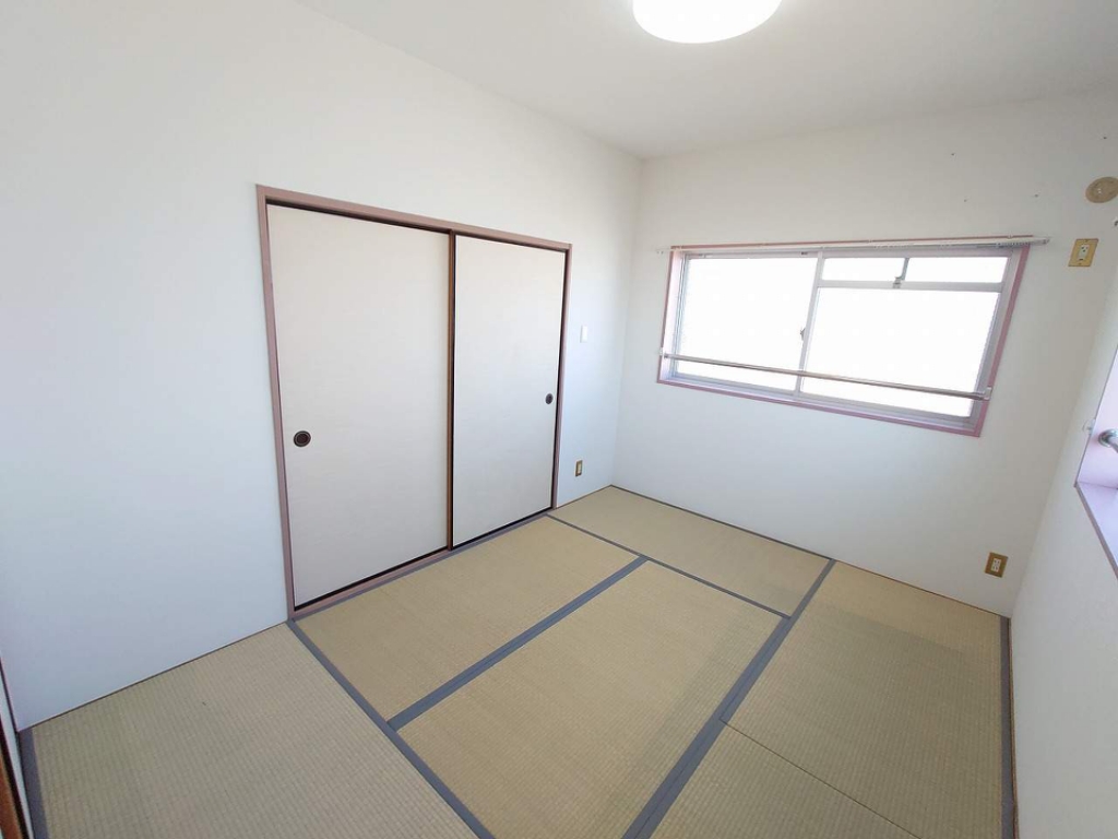 ＫＩＷＩ川内 その他