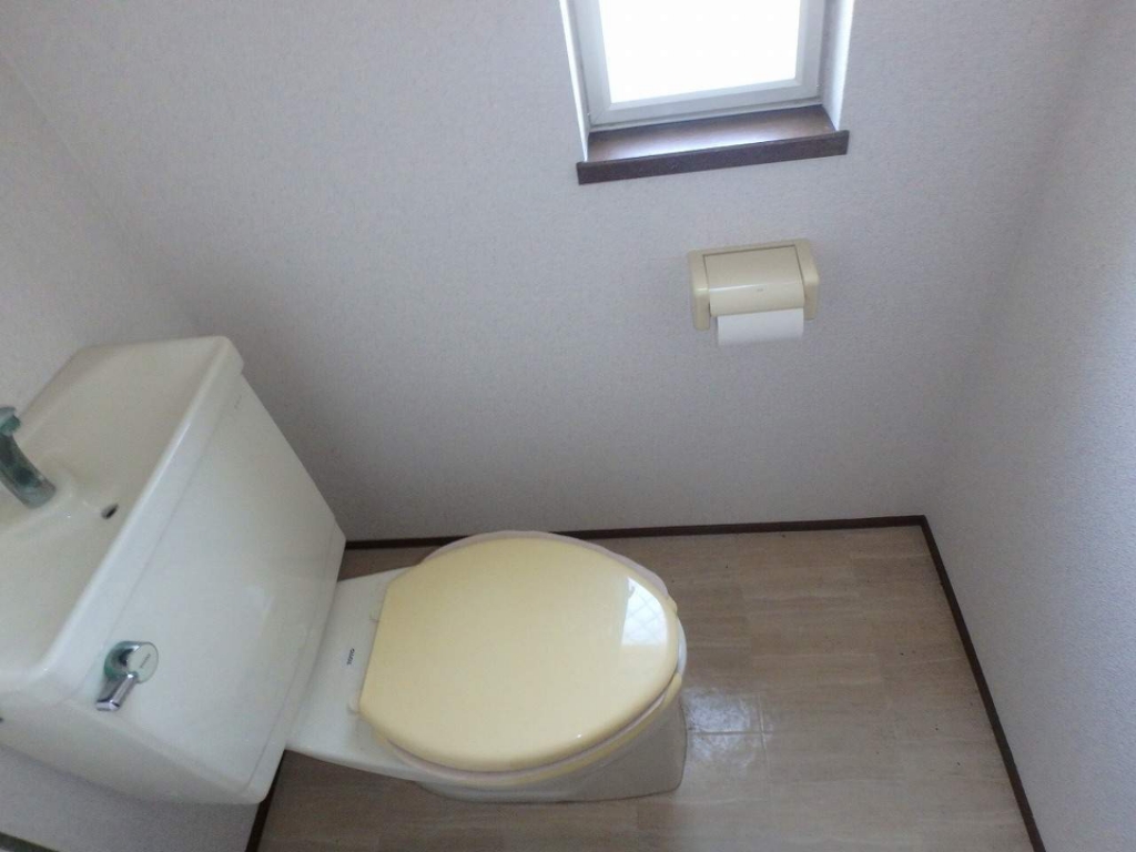 シェモア その他