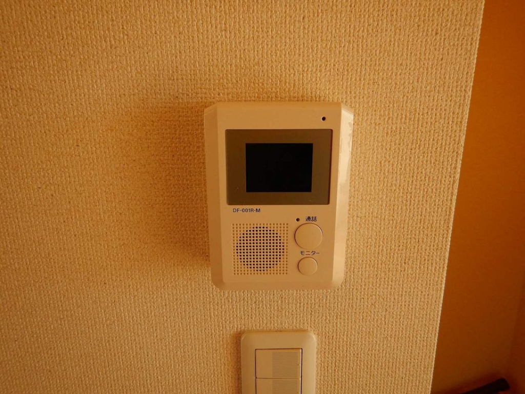 レオネクストソラリア その他