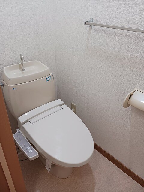 カトレア その他
