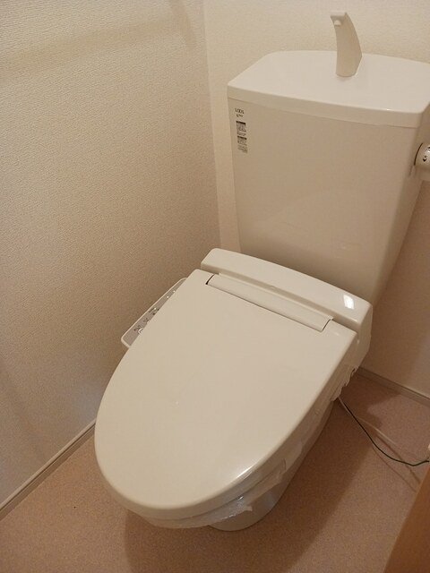 アネッサ　Ｂ その他