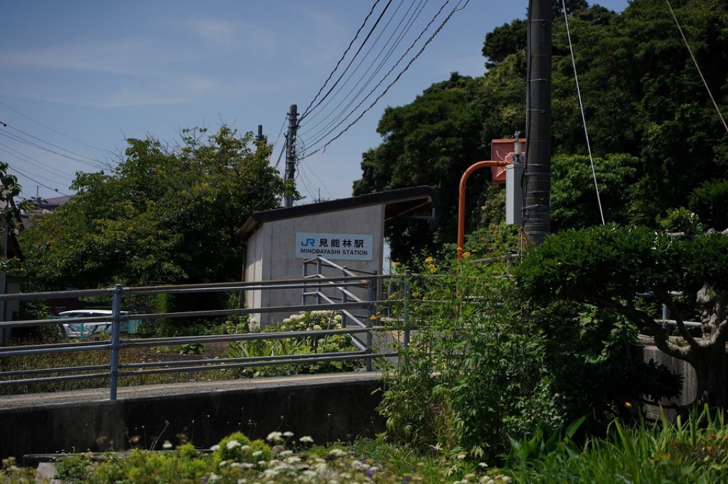 ルジャーダ その他