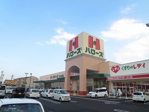 ルナリア その他