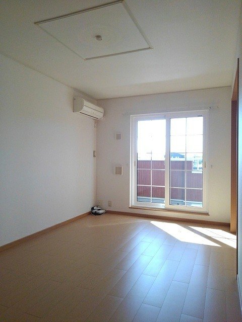ヴィオラ その他