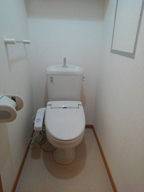 ヴィオラ その他