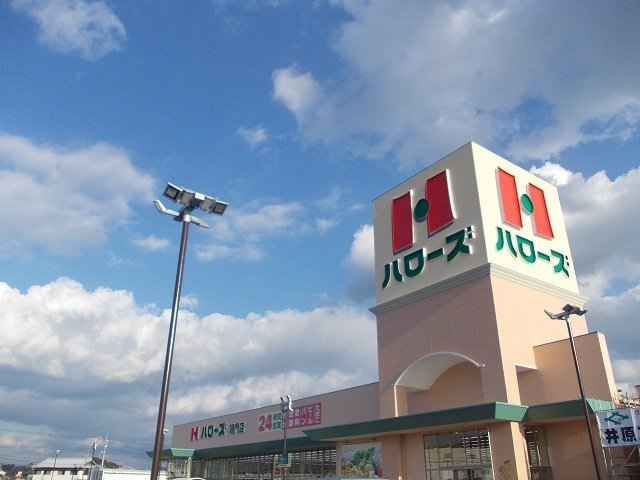 グラース　ヴァイオレット その他