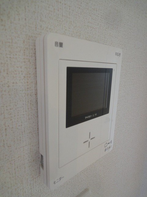 グラース　ヴァイオレット その他