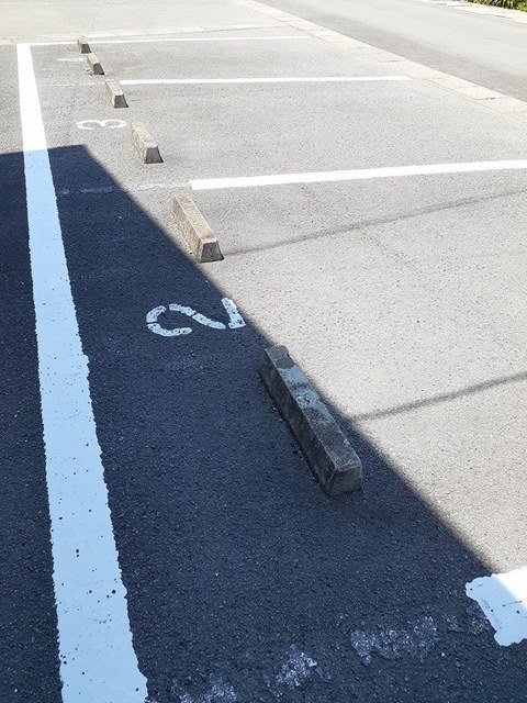 パルシモン　Ⅰ その他
